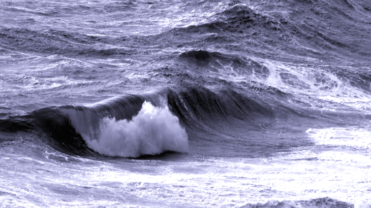 image: Marc Buckley/Hereon